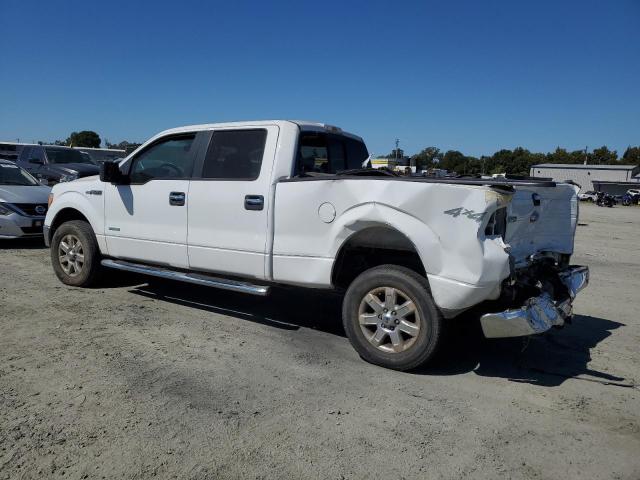 FORD F150 SUPER 2013 white  gas 1FTFW1ET9DKG52174 photo #3