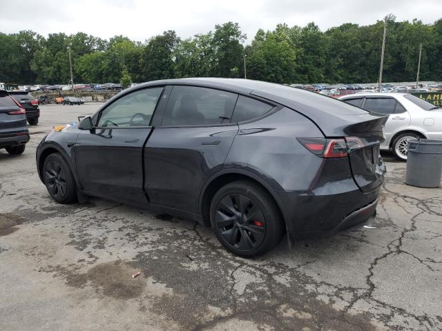 2024 TESLA MODEL Y 7SAYGDEE9RF156498