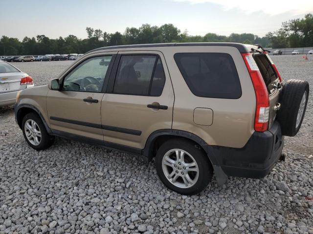 HONDA CR-V EX 2005 gold 4dr spor gas JHLRD78875C013108 photo #3