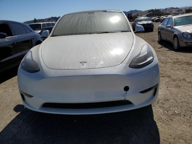 2023 TESLA MODEL Y 7SAYGDEE4PF740448