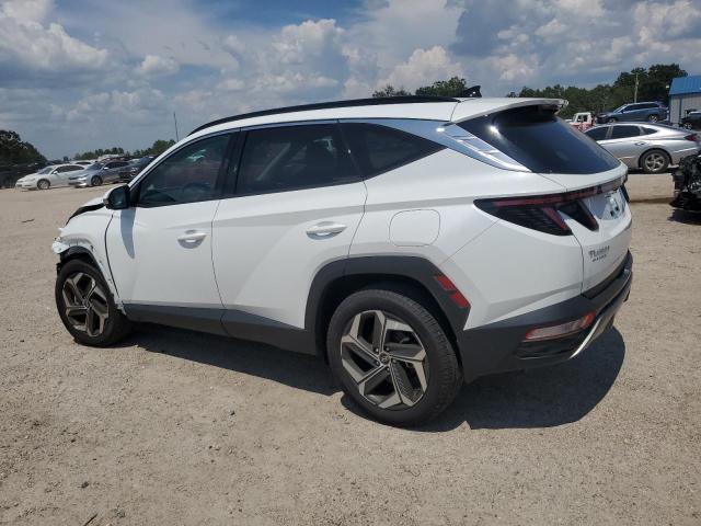 2022 HYUNDAI TUCSON LIM 5NMJECAE0NH121197