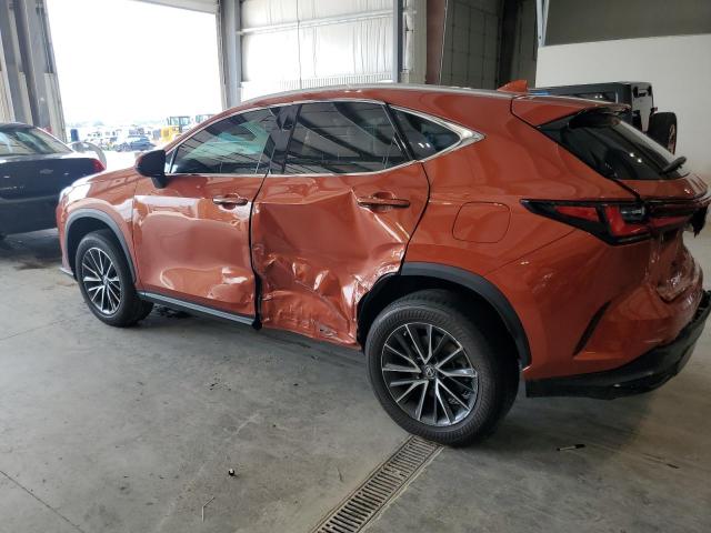 2023 LEXUS NX 250 #3291240957