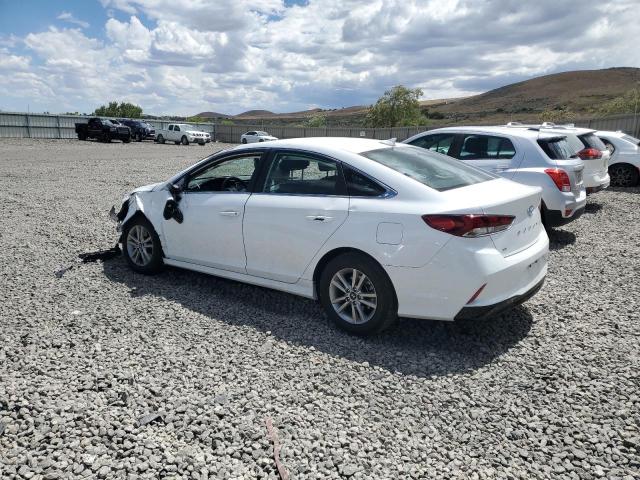 2019 HYUNDAI SONATA SE - 5NPE24AF0KH755228