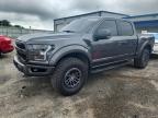 2019 FORD F150 RAPTO - 1FTFW1RG9KFC80841