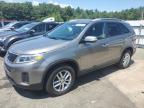 Top Destinations for Shipping Cars from the USA