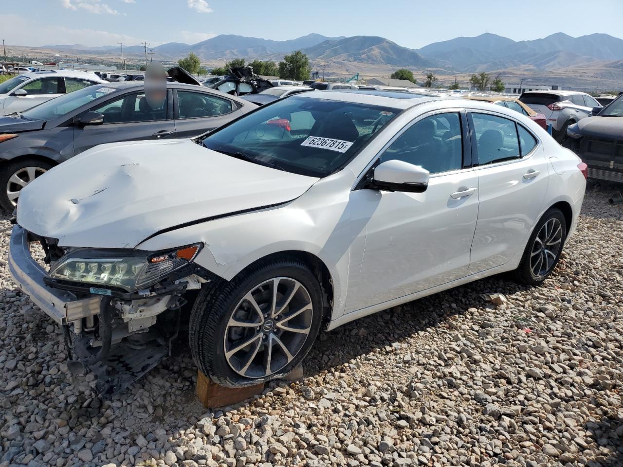 ACURA TLX TECH