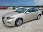 2016 LEXUS ES 350 - 58ABK1GG1GU020289