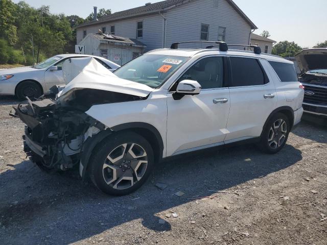 2023 HYUNDAI PALISADE L #3317777083