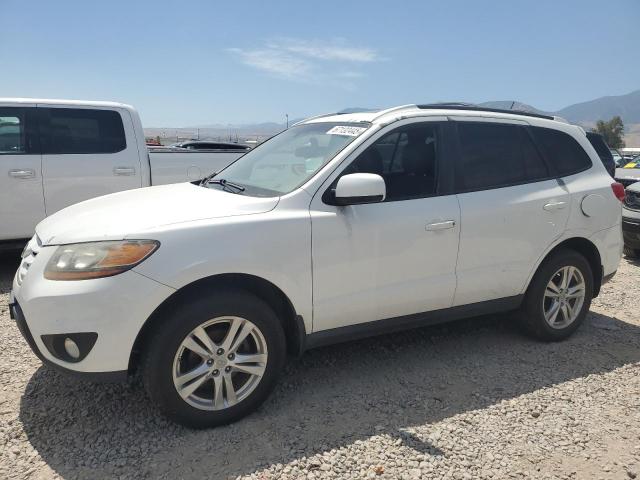 HYUNDAI SANTA FE S 2010 white  gas 5NMSHDAG9AH356923 photo #1