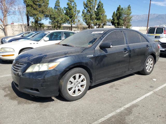 TOYOTA CAMRY HYBR