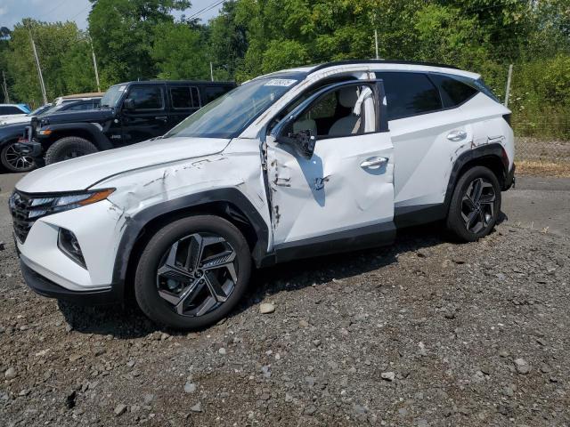 HYUNDAI TUCSON SEL 2024 white  hybrid engine KM8JCCD16RU220051 photo #1