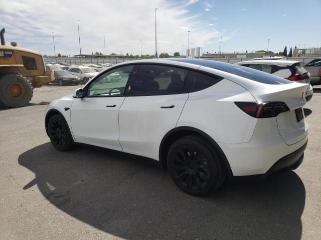 2023 TESLA MODEL Y 7SAYGDEE2PF878568