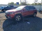 2019 JEEP CHEROKEE L - 1C4PJMDX5KD356773