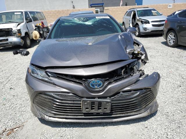 2019 TOYOTA CAMRY LE - 4T1B31HK4KU516896