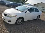 Top Destinations for Shipping Cars from the USA