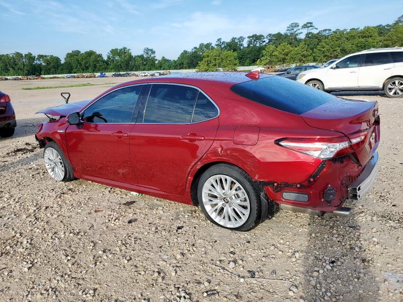 2020 TOYOTA CAMRY XLE - 4T1F31AKXLU538639