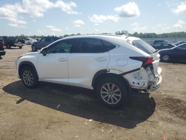 2019 LEXUS NX 300 BAS JTJYARBZ0K2133409