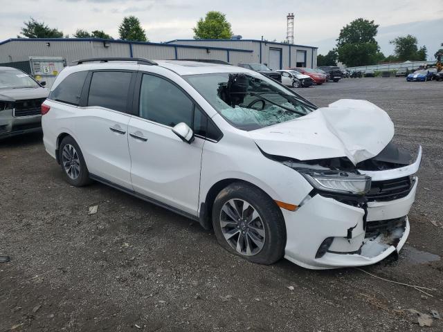 Vin: 5fnrl6h61pb062951, lot: 62162535, honda all models exl 20234