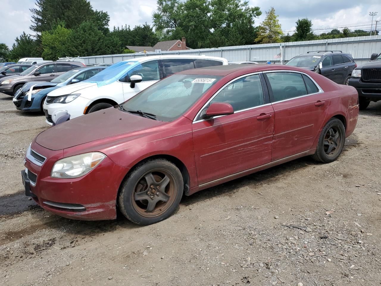 CHEVROLET MALIBU 1LT