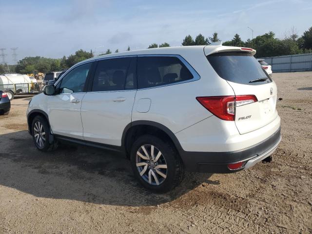 2019 HONDA PILOT EX 5FNYF6H33KB084578