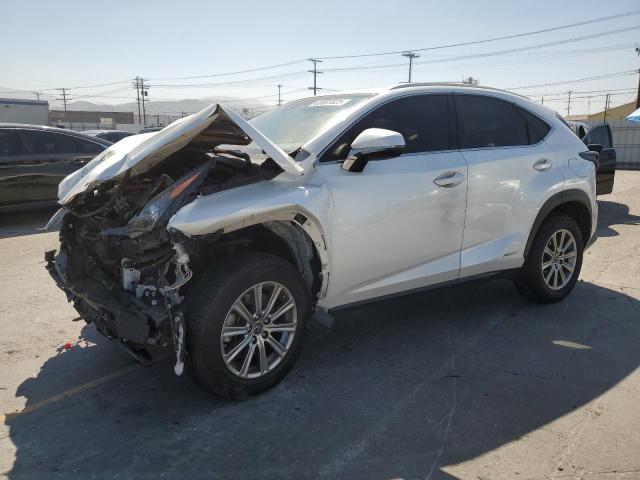 2021 LEXUS NX 300H BA JTJDJRDZ7M2169614