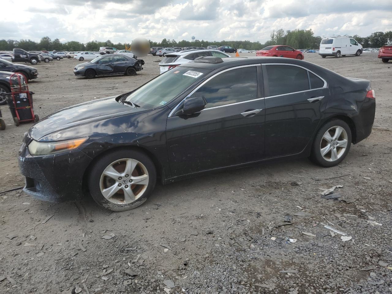 ACURA TSX
