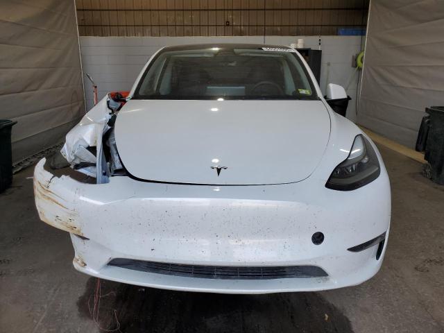 2023 TESLA MODEL Y 7SAYGDEE4PF666836