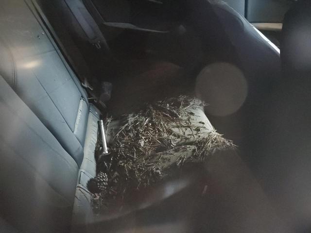 2020 BMW 228XI WBA73AK00L7G03583