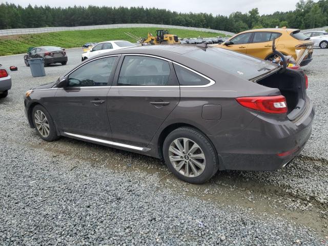 2017 HYUNDAI SONATA SPO 5NPE34AF4HH559766