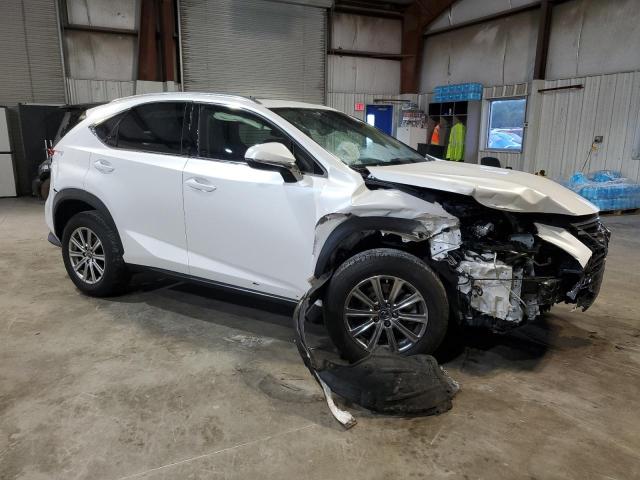 2021 LEXUS NX 300 BAS JTJDARDZ2M5025872