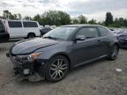 2016 TOYOTA SCION TC - JTKJF5C7XGJ021881