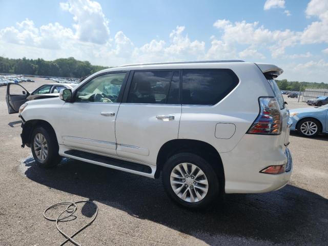 2019 LEXUS GX 460 JTJBM7FX1K5220387