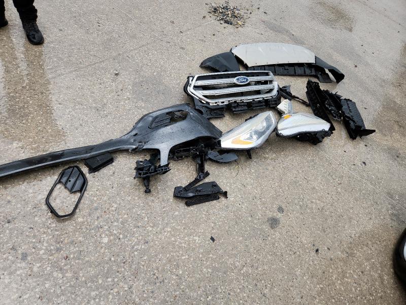 2019 FORD ESCAPE SEL 1FMCU9HD5KUA55600