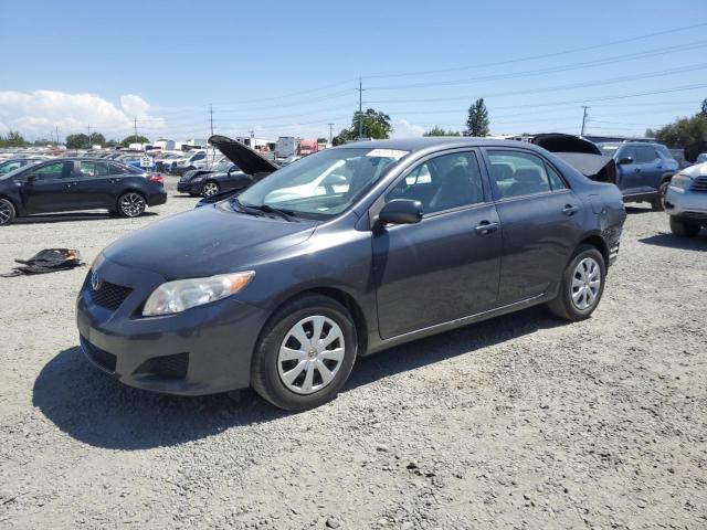 TOYOTA COROLLA BA