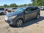 2019 FORD ESCAPE TIT - 1FMCU0J98KUC28723