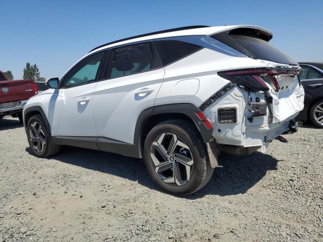 2023 HYUNDAI TUCSON LIM - KM8JECA19PU112521