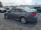 Lot #3301653620 2009 TOYOTA COROLLA BA