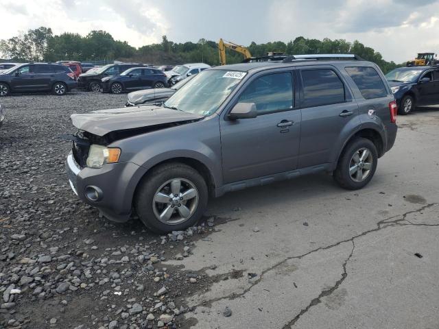 2010 FORD ESCAPE LIM - 1FMCU9EG8AKD23872