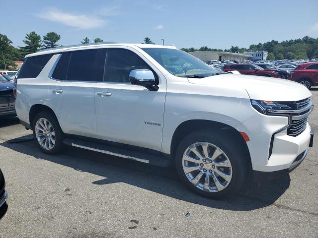 2024 CHEVROLET TAHOE K150 - 1GNSKSKT8RR294138
