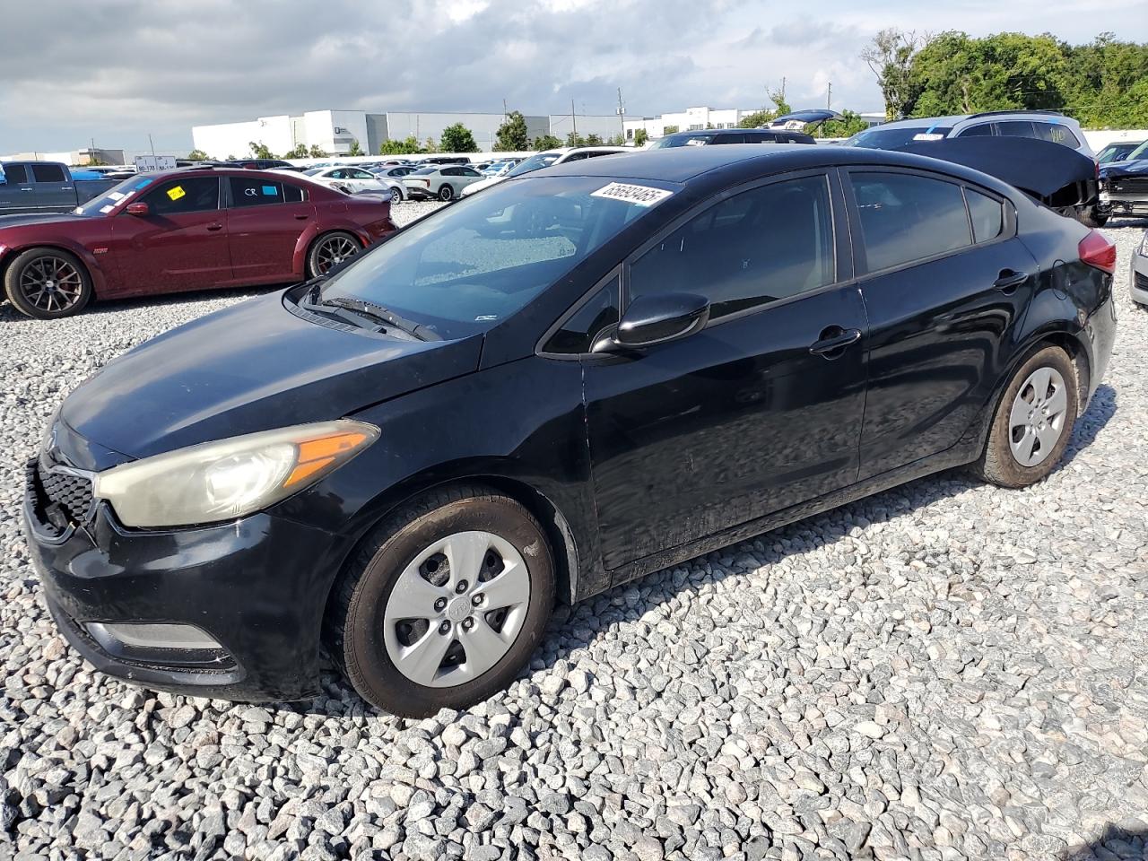Lot #3301828332 2016 KIA FORTE LX