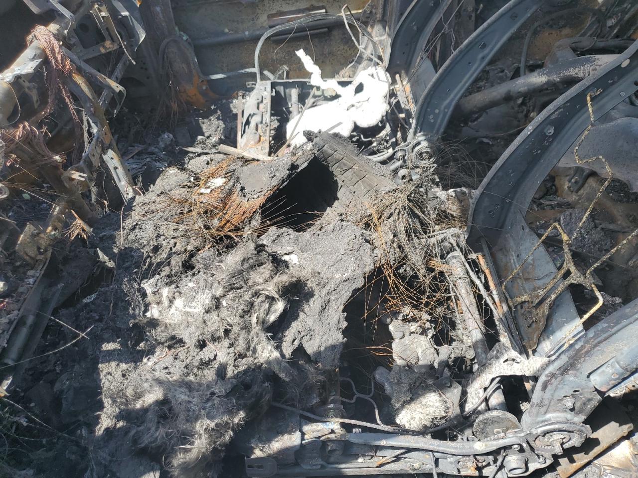 Global Auto Auctions