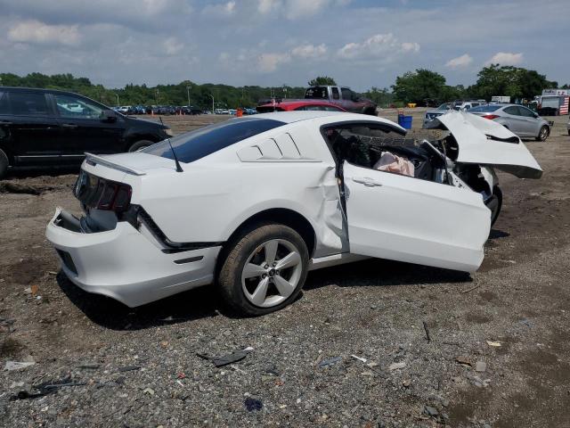 2014 FORD MUSTANG GT - 1ZVBP8CF9E5325577