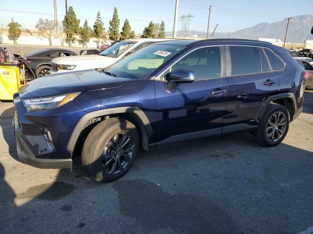 TOYOTA RAV4 XLE P