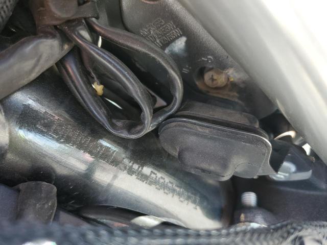 2020 DUCATI MONSTER 82 ZDMMACLS9LB007071