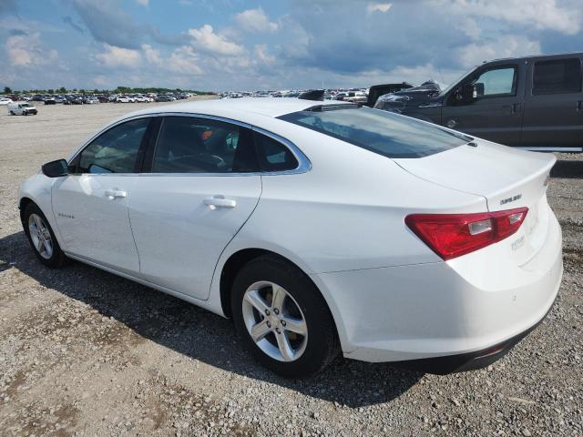 2024 CHEVROLET MALIBU LS 1G1ZB5STXRF247549