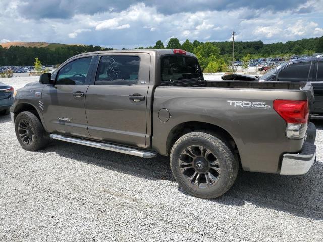 TOYOTA TUNDRA CRE 2010 tan crew pic gas 5TFEY5F13AX084285 photo #3