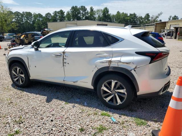 2021 LEXUS NX 300H BA JTJGJRDZ7M5015626