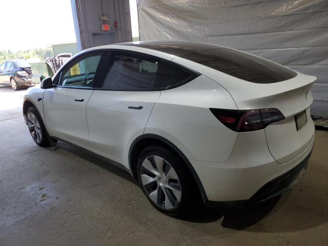 2023 TESLA MODEL Y 7SAYGDEE4PF666836
