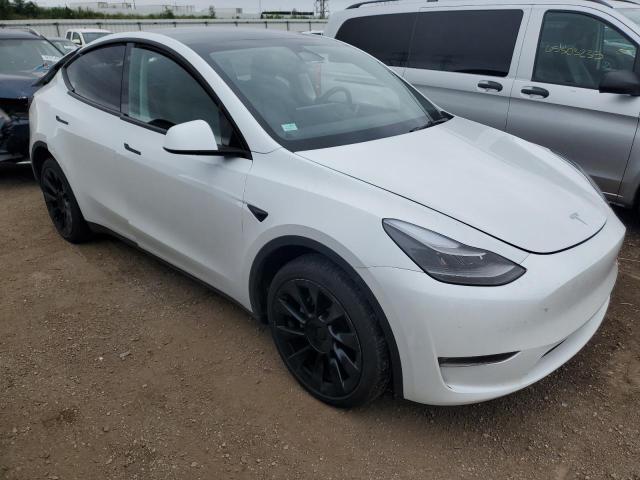2023 TESLA MODEL Y 7SAYGDEE3PF676046