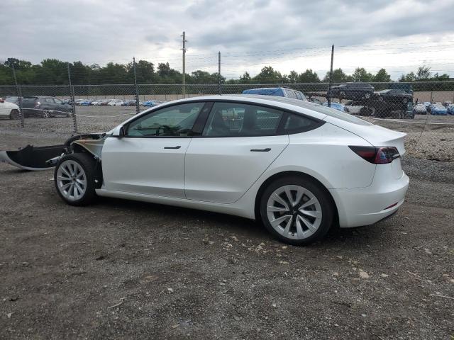 2023 TESLA MODEL 3 5YJ3E1EA8PF569129
